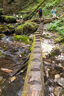 36692513246 9ffdc0a6a8 o