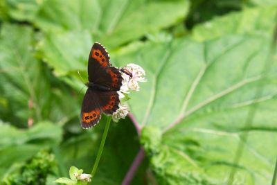 36739182475 d2365eb6c7 o