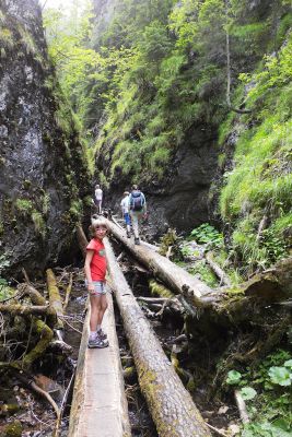 img 2985 36692500086 o