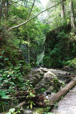 img 8258 36569300862 o