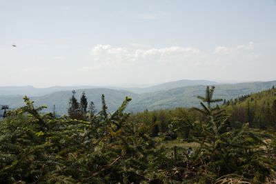 44308085961 225ec78c82 o