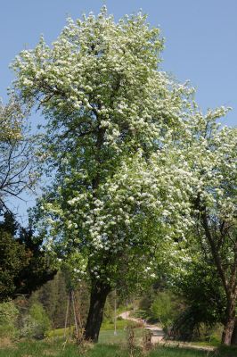 44308086281 3226397c92 o