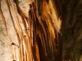 2018 08 14T12 16 20 IMG 5816