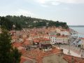 IMG 5679