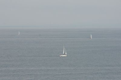 IMG 5680