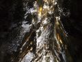 2018 07 12T12 49 40 IMG 0088