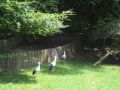2018 07 12T15 49 33 IMG 0174