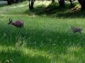 2018 07 12T15 51 22 IMG 1095