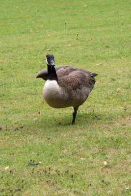 2018 07 13T12 19 59 IMG 1276