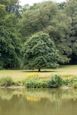 2018 07 13T12 29 09 IMG 1284