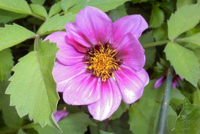 2018 07 13T12 29 25 IMG 0384