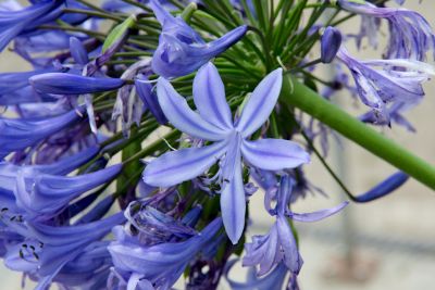 2018 07 13T12 30 57 IMG 1286