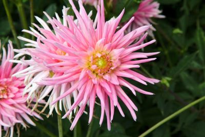 2018 07 13T12 41 15 IMG 1295