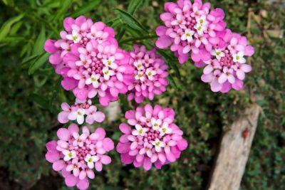 2018 07 13T12 41 20 IMG 1296