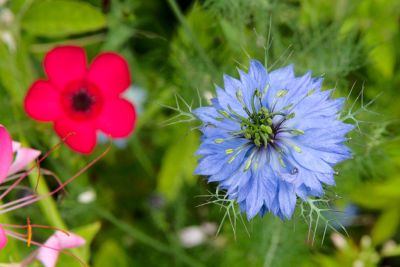 2018 07 13T12 41 34 IMG 1297