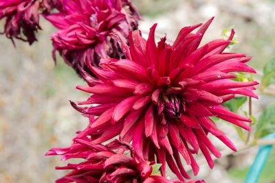 2018 07 13T12 43 28 IMG 1302