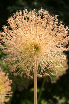 2018 07 13T12 46 46 IMG 1309