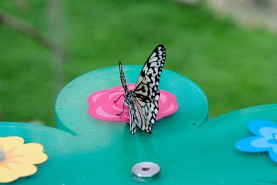 2018 07 14T11 52 18 IMG 1340