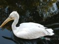 2018 07 14T13 34 52 IMG 1402