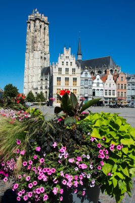 Mechelen i Leuwen