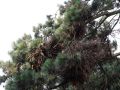 2018 07 13T19 32 18 IMG 1328