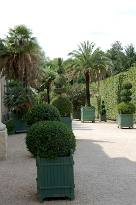 2018 07 17T12 39 51 IMG 1734