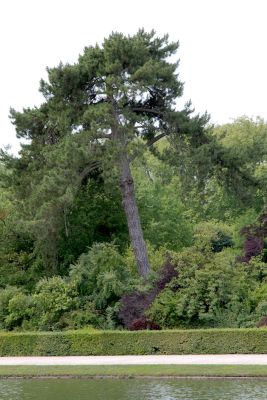 2018 07 17T12 50 06 IMG 1738