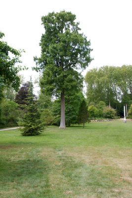 2018 07 17T13 10 48 IMG 1756