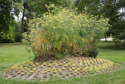 2018 07 17T13 12 21 IMG 1757