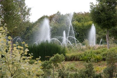 2018 07 17T14 09 27 IMG 1777