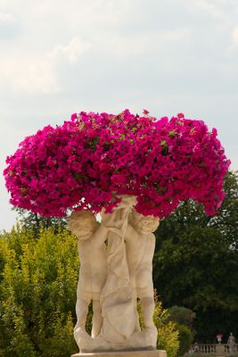 2018 07 19T15 33 13 IMG 5510