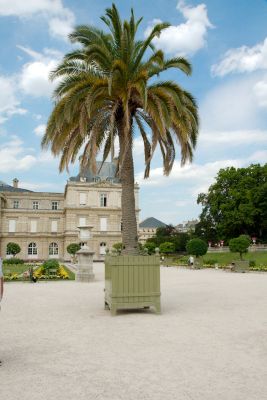 2018 07 19T15 36 28 IMG 5519