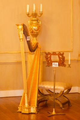 2017 08 08T12 03 34 IMG 8918