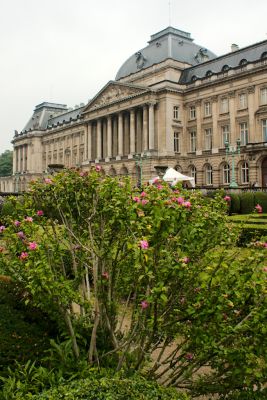 2017 08 08T12 51 47 IMG 8937