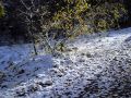 2016 11 04T11 38 36 IMG 2000