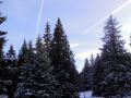 2016 11 05T09 32 58 IMG 2032