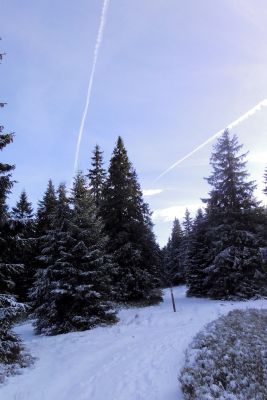 Beskid Żywiecki, listopad 2016