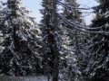2016 11 05T09 51 11 IMG 2037