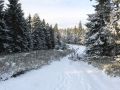 2016 11 05T10 09 55 IMG 9264