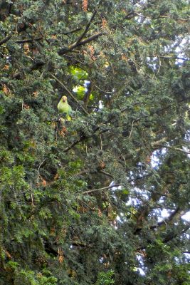 2017 08 09T10 34 51 IMG 3827