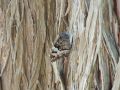 2016 07 22T11 05 20 IMG 6197