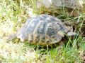 2016 07 22T11 07 44 IMG 6201