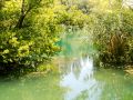 2016 07 22T12 27 42 IMG 6258