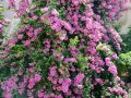 2016 07 24T12 54 21 IMG 6421