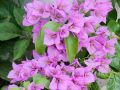 2016 07 23T19 31 54 IMG 6318
