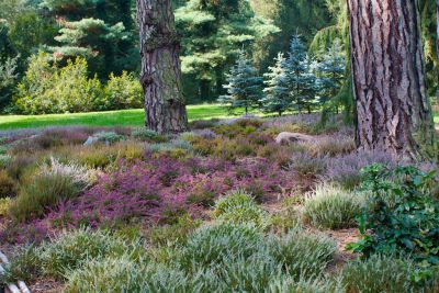 2015 09 13T11 39 28 IMG 1286