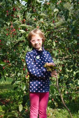 2015 09 13T11 50 57 IMG 1294