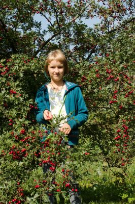 2015 09 13T11 52 13 IMG 1296