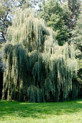 2015 09 13T12 06 08 IMG 1306