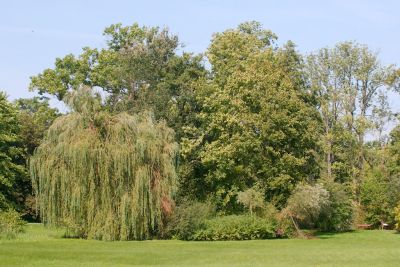 2015 09 13T12 19 39 IMG 1317